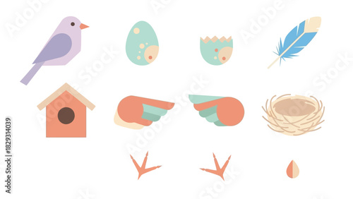 Collection of various bird-related illustrations, including a bird, eggs, wings, and a nest.