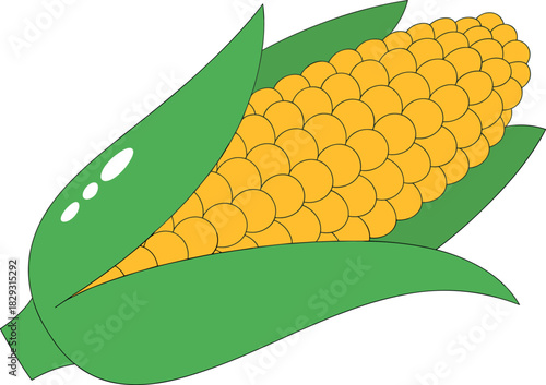 Simple Flat Design Vector of Corn on the Cob with Husk and Kernels