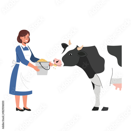 Feeding Time Woman Hand-Feeding Grain to a Spotted Dairy Cow