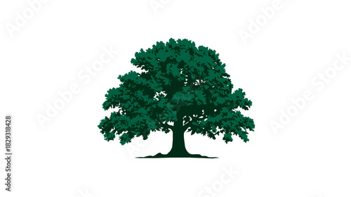 Detailed green oak tree illustration with lush foliage, isolated on a white background. Nature graphic design element.