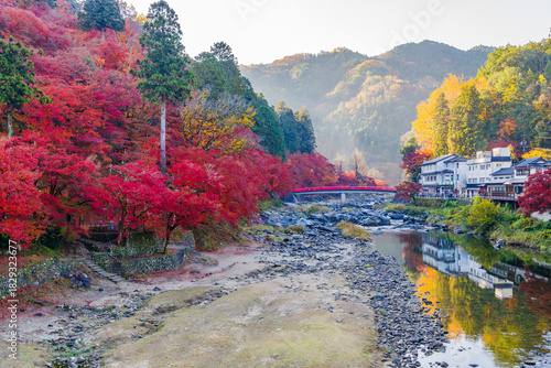 朝の香嵐渓の紅葉と待月橋（愛知県j豊田市足助町）