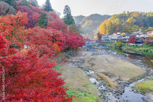 紅葉に染まる香嵐渓の朝（愛知県j豊田市足助町）