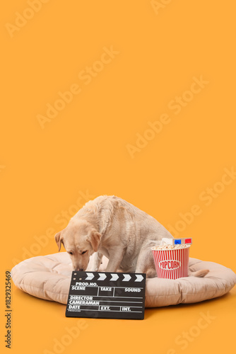 Cute Labrador dog with clap...