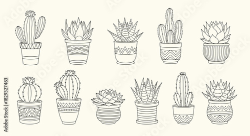 Collection of potted plants with various decorative designs and artistic outlines.