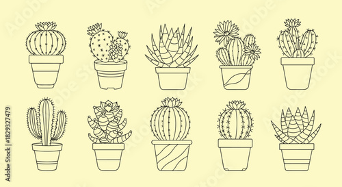 A collection of ten different potted cactus and succulent plant illustrations in outline style on a pale yellow background.