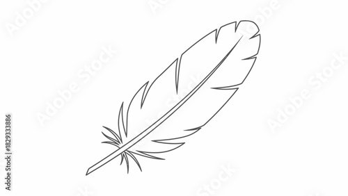 Delicate Feather Outline Drawing, Graceful Bird Quill on Isolated White Background