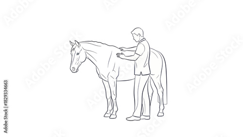 Line art illustration showing a person gently examining or providing care to a horse's back.