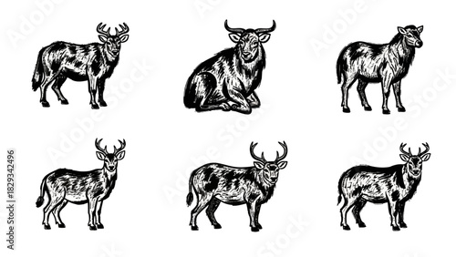 Monochrome vector illustrations showcasing deer and bull in various poses with shading and line