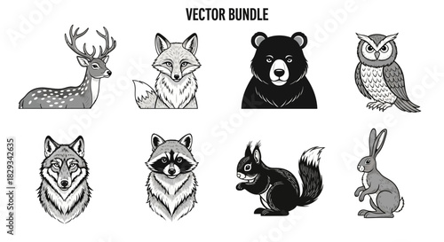 Vector Illustrations of Forest Animals Deer Fox Bear Owl Wolf Raccoon Squirrel and Hare