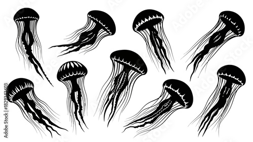Silhouetted Jellyfish Pattern: Monochrome Aquatic Design with Marine Invertebrates isolated