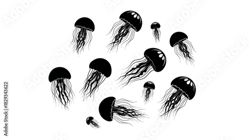 Elegant Monochrome Jellyfish Pattern: A Dynamic Underwater World Depiction
