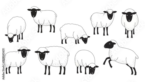 Cartoon Sheep Set in Different Poses for Farm Animal and Children's Illustration Concept