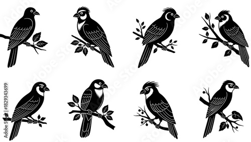 Collection of elegant black and white bird illustrations perched on branches featuring minimalist
