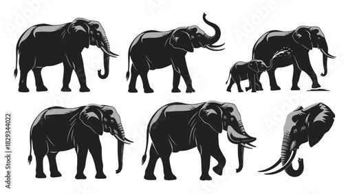 Illustration of a Group of Elephants in Various Poses on a White Background