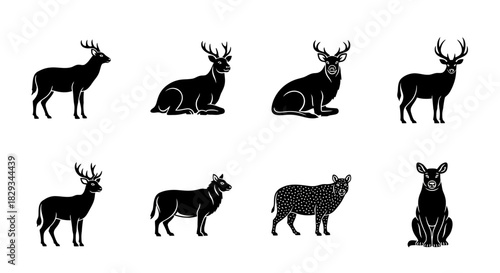 Elegant silhouette collection of various deer species in different poses set on white background