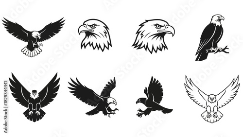 Collection of monochrome vector illustrations featuring eagles in various poses and styles
