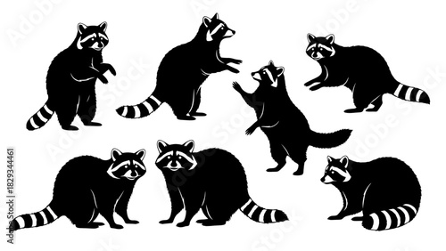 Illustrative black and white cartoon depiction of various raccoon poses on white background
