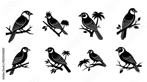 Elegant silhouette collection of diverse bird species perched on branches in black and white