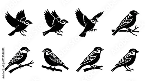 Fotografie Silhouette bird set featuring various poses isolated on white background illustr