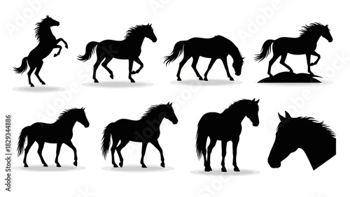 Collection of elegant black horse silhouettes in various poses and graceful stances portraying