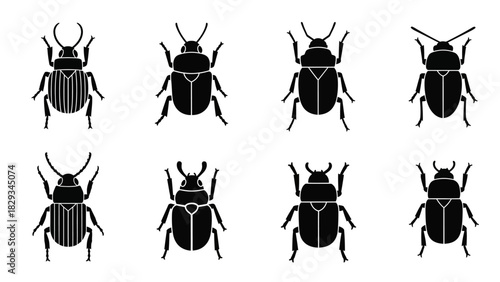 Vector Illustration of Various Beetle Silhouettes in Black and White for Biology Studies