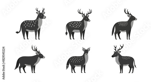 Elegant deer vector illustration showcasing diverse antler shapes and coat patterns vector isolated