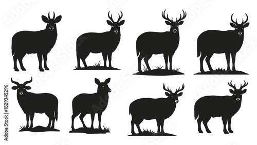Diverse deer species silhouette collection in striking black against white background