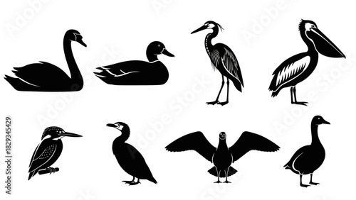 Diverse silhouettes of aquatic birds showcasing swan, duck, heron and more species for creative