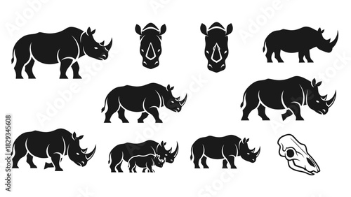 Set of rhinoceros vector illustrations in various poses and skull silhouettes isolated on a white