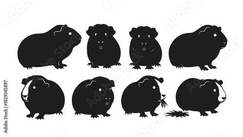 Adorable guinea pigs in silhouette showcasing different poses and expressions