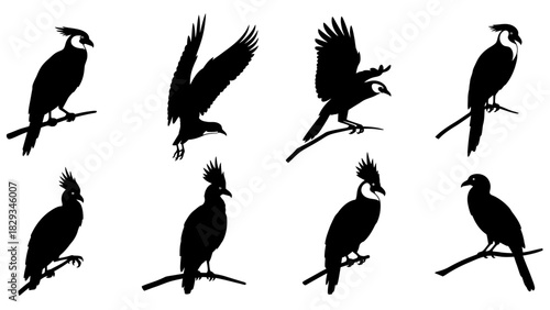 Set of eight silhouette birds perched on branches, isolated against white background