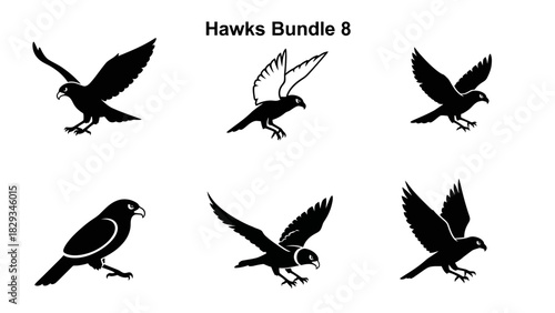 Vector graphics collection of hawks in various poses ideal for logo design or illustrations