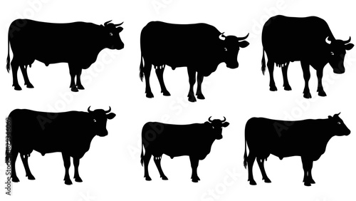Black Cow Silhouettes Vector Illustration for Agricultural and Farm Themes