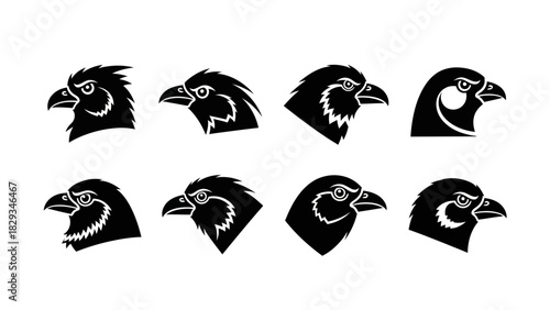 Eagles Heads Vector Illustration Set Depicting Different Styles and Species for Design