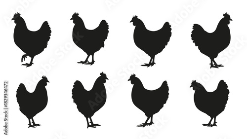 Elegant silhouettes of chickens in various poses against a stark white background