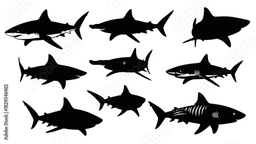Shark silhouettes collection depicting various species in dynamic poses on white backdrop