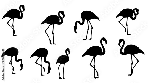 Elegant flamingo silhouettes in various poses creating a visually appealing aesthetic backdrop