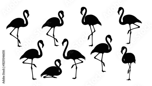 Elegant Flamingo Silhouettes Isolated on White Background in a Dynamic Composition
