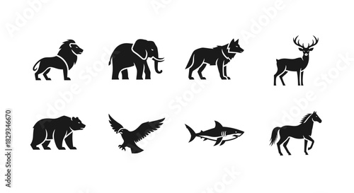 Collection of wildlife animal silhouettes, representing the diversity of the animal kingdom