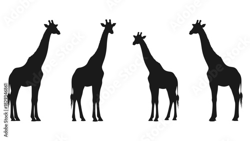 Giraffe Silhouette Set, standing elegantly on a crisp white background, graphic resource
