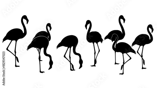 Elegant Flamingo Flock Silhouettes Against White Backdrop for Artistic Flair