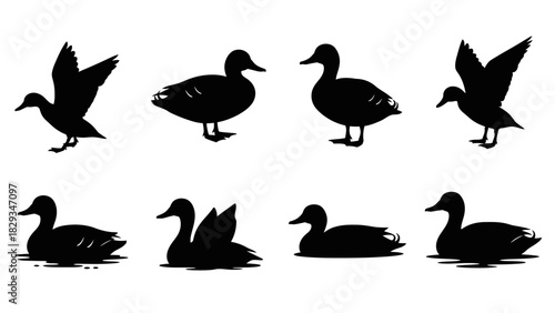 Elegant Black Duck Silhouettes: A Versatile Collection for Graphic Design and Illustration projects