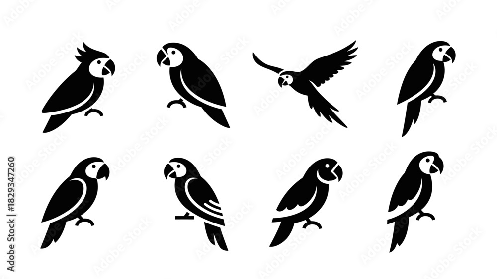 Fototapeta premium Elegant collection of vector parrots featuring diverse poses and minimalistic design