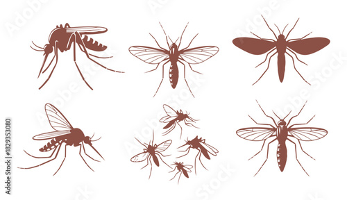 Mosquito icon collection

