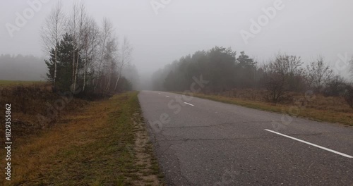 Wallpaper Mural the road and fog in the distance that obscures visibility, yellow grass and shrubs without foliage grow along the road Torontodigital.ca