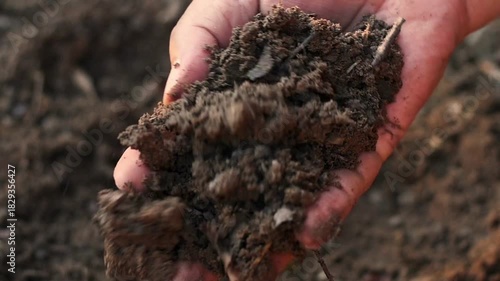 arable soil in hands of responsible farmer, close up. farmer's hand holding soil from the ground to examining soil quality and fertility. close-up of a farmer's holding soil with hand.