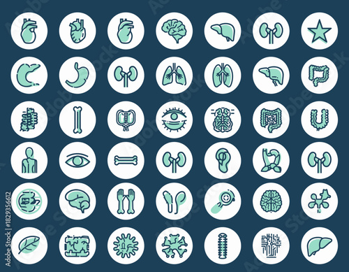 human body health vector icon set website