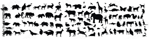 silhouette collection of different animals