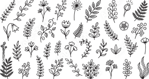 Hand-Drawn Botanical Floral Doodle Set Line Art Leaves Flowers Nature Illustration
