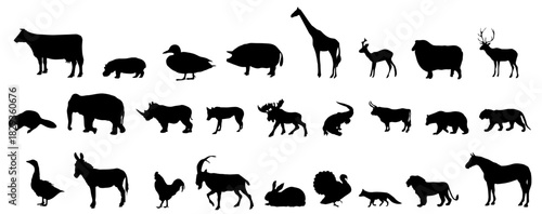 silhouettes of animals set collection